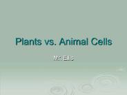 Plants vs. Animal Cells