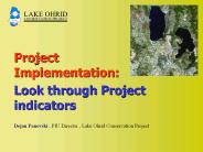 Project Implementation:
