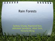 Rain Forests