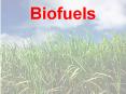 Biofuels PowerPoint PPT Presentation