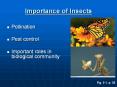 Importance of Insects PowerPoint PPT Presentation