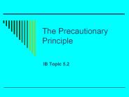 The Precautionary Principle