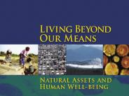 The Millennium Ecosystem Assessment (MA)