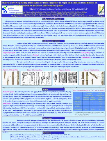 Aucun titre de diapositive
