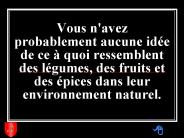 Vous n'avez probablement aucune id