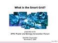 What is the Smart Grid? PowerPoint PPT Presentation