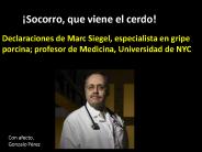 Gripe porcina