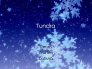 Tundra
