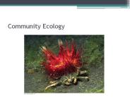 Community%20Ecology
