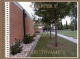 CHAPTER 5    GROUP DYNAMICS PowerPoint PPT Presentation