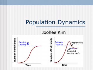Population Dynamics