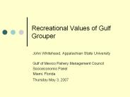 Recreational Values of Gulf Grouper