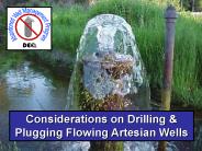 FLOWING  ARTESIAN WELLS