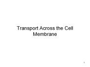Transport Across the Cell Membrane