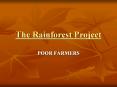 The Rainforest Project PowerPoint PPT Presentation