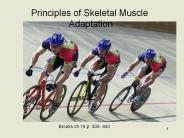 Principles%20of%20Skeletal%20Muscle%20Adaptation