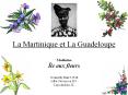 La Martinique et La Guadeloupe PowerPoint PPT Presentation