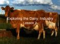 Exploring the Dairy Industry PowerPoint PPT Presentation
