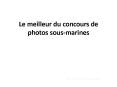 Le meilleur du concours de photos sous-marines PowerPoint PPT Presentation