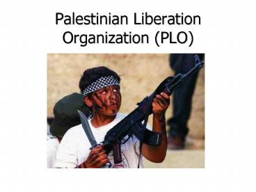 Palestinian Liberation Organization (PLO)
