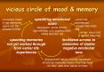 vicious circle of mood PowerPoint PPT Presentation