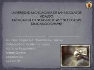 Alumno: Edgar Iv