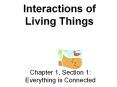 Interactions of Living Things PowerPoint PPT Presentation