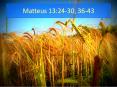 Matteus 13:24-30, 36-43 PowerPoint PPT Presentation