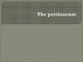 The peritoneum PowerPoint PPT Presentation