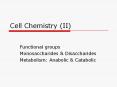 Cell Chemistry (II) PowerPoint PPT Presentation