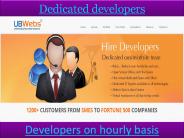Dedicated developers