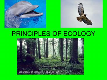 PRINCIPLES OF ECOLOGY