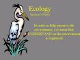 Ecology Section 1 Notes PowerPoint PPT Presentation