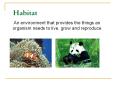 Ecosystems PowerPoint PPT Presentation