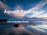 Aquatic%20Ecology