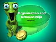 Organization and Relationships