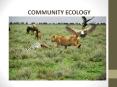 COMMUNITY ECOLOGY PowerPoint PPT Presentation