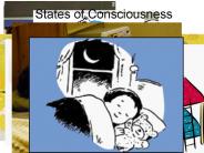 States%20of%20Consciousness