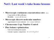 Net1: Last week's take home lessons