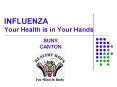 INFLUENZA Your Health is in Your Hands PowerPoint PPT Presentation