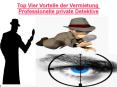 Top Vier Vorteile der Vermietung Professionelle private Detektive PowerPoint PPT Presentation