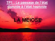 TP1 : Le passage de l