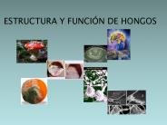 Diapositiva 1