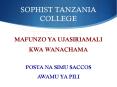 SOPHIST TANZANIA COLLEGE PowerPoint PPT Presentation