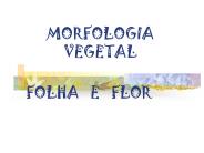 MORFOLOGIA%20VEGETAL