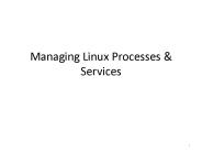 Managing Linux Processes