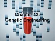 Chapter 13:  Genetic Engineering