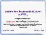 Lustre File System Evaluation at FNAL