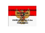 LEMBAGA PEMERINTAHAN INDONESIA (SISTEM ADMINISTRASI NEGARA INDONESIA)