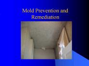 Mold%20Prevention%20and%20Remediation